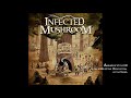 Infected Mushroom ‎- Legend Of The Black Shawarma- ( 𝑭𝒖𝒍𝒍 𝑨𝒍𝒃𝒖𝒎)ᴴᴰ (HQ)