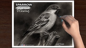 How to Draw SPARROW | Realistic Charcoal Drawing | Sparrow Drawing - Bird charcoal art - ART Tube