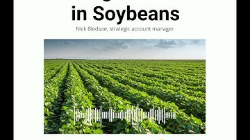 Scouting for Insects in Soybeans