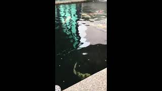 1060616紀錄