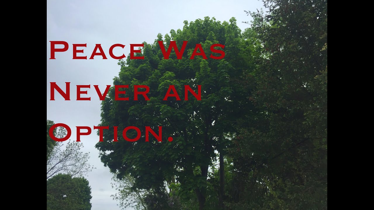 Norway Maple: Know your enemy.