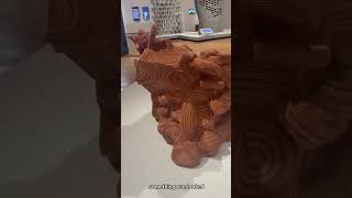 Details Video Assignment（Xinyi Li） Guide