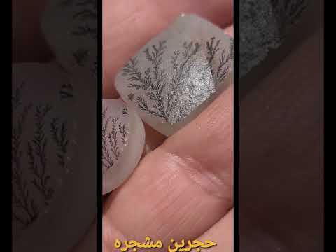 عقيق مشجر رقم واحد من اجمل خامت العقيق اليماني اصل الفخامه والجمال