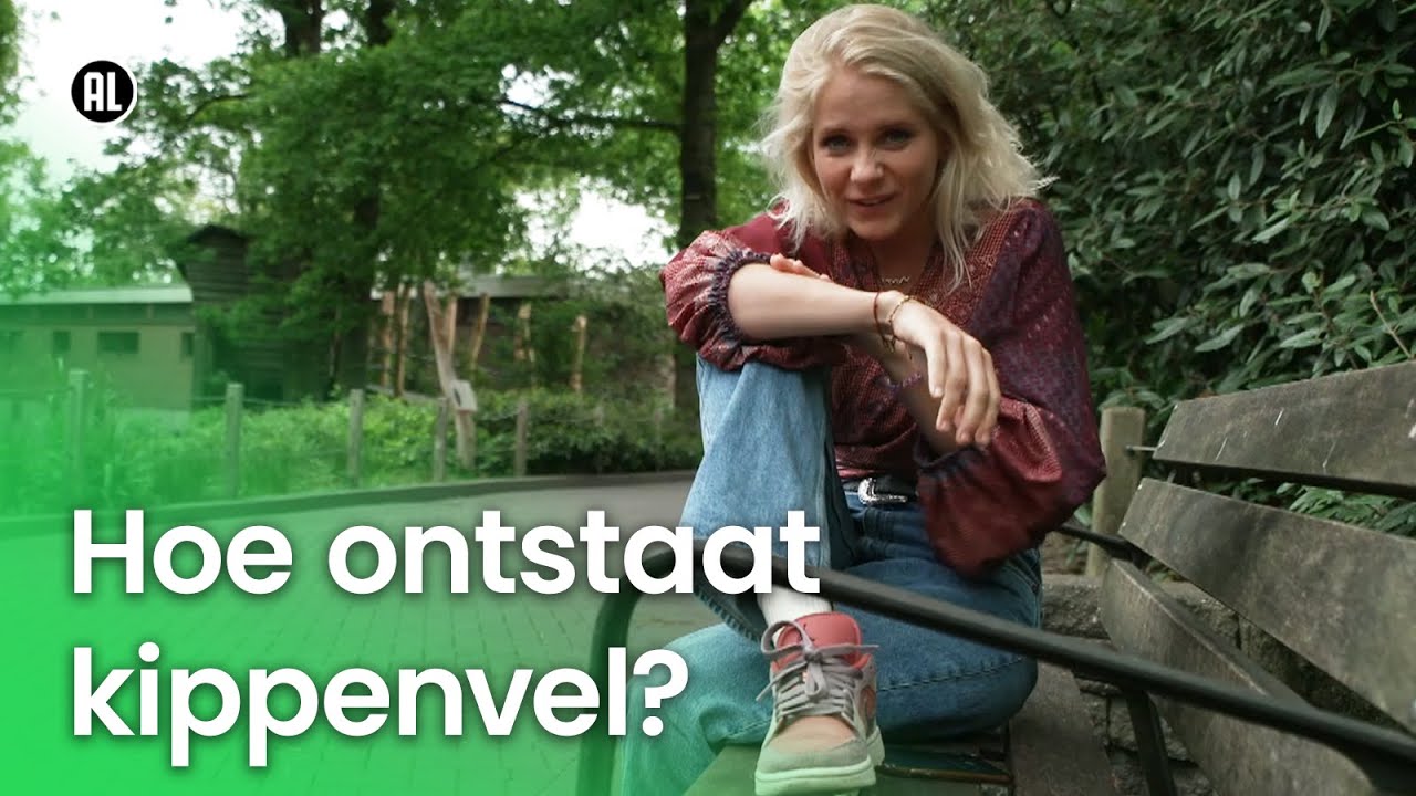 Hoe Ontstaat Kippenvel Vragen Van Kinderen YouTube hoe-ontstaat-kippenvel-vragen-van-kinderen-youtube