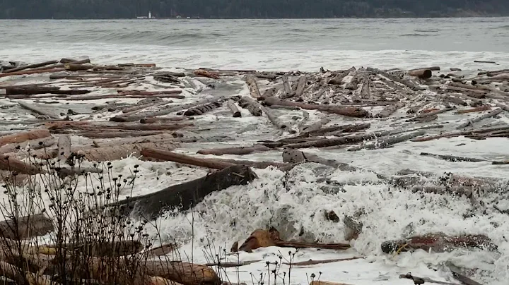 As the ocean churns..Dec.20,2...  River, B.C