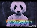مهرجان جن حضرتو حالة واتس حمو بيكااا مهرجان جن حضرتو حالة واتس حمو بيكااا