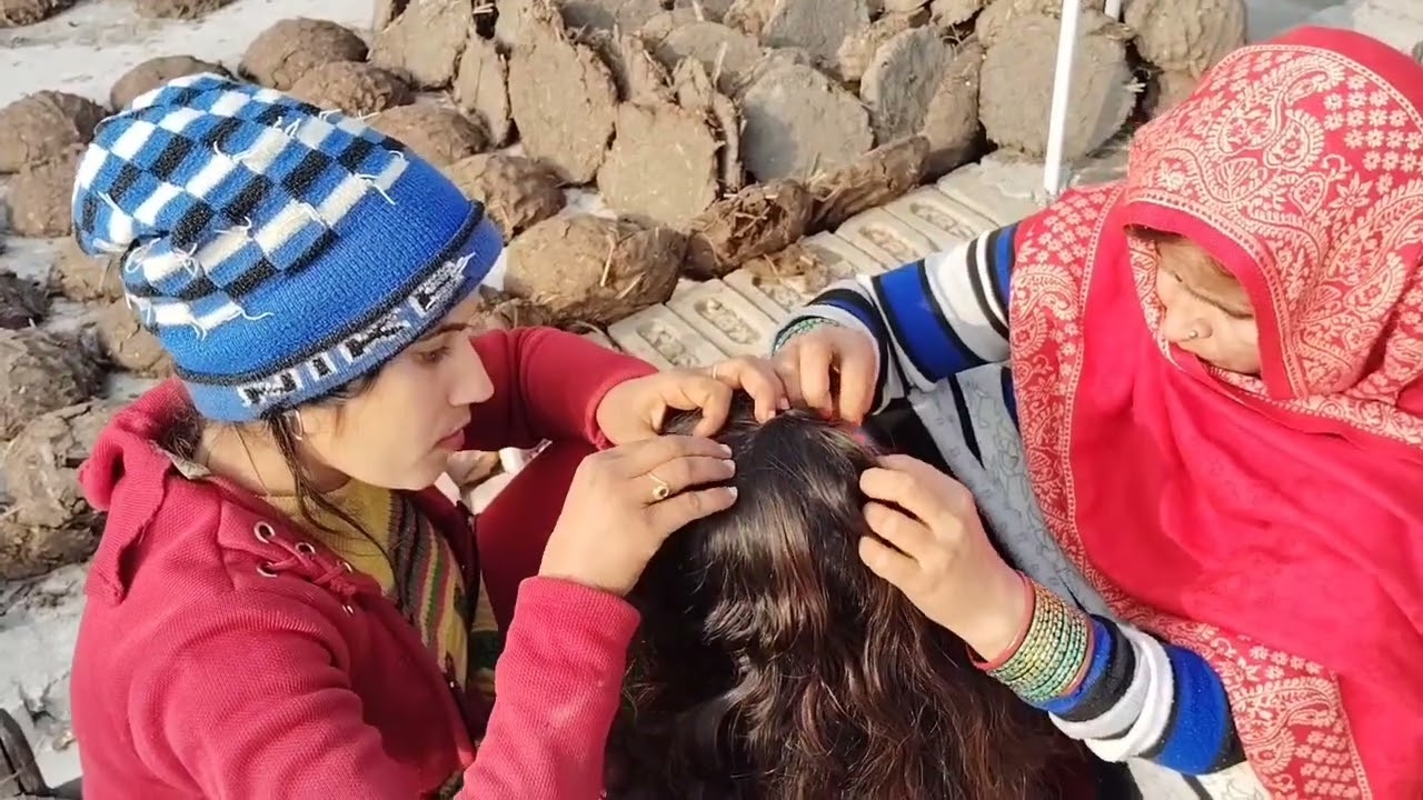 Group Nitpicking / Long Hair Nitpicking/ Nitpicking In Long Hair 🆕