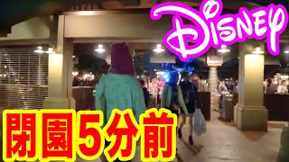 閉園５分前にディズニーシー入園してみた結果ww【ノーカット映像】