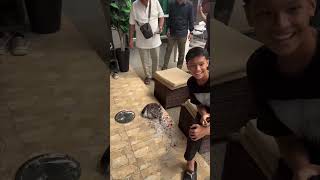 Birthday Cake Drops From Man's Hands During a Birthday Surprise