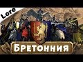 Бретонния (Бретония) (знакомимся с Вархаммер) | Лор Total War: Warhammer