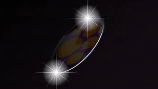 Closing To Garfields Pet Force 2009 Dvd