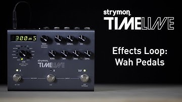 Strymon TimeLine - Effects Loop: Wah Pedals - Demo