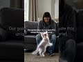 They told you 'it was just a pet'