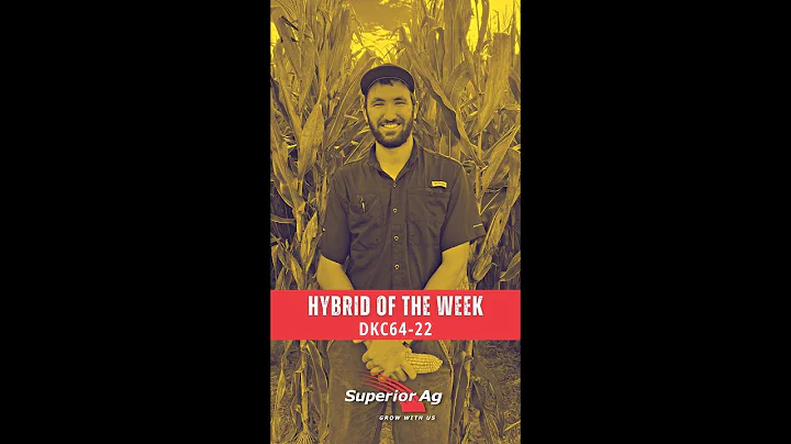 Superior Ag | Hybrid of the Week: DKC64-22