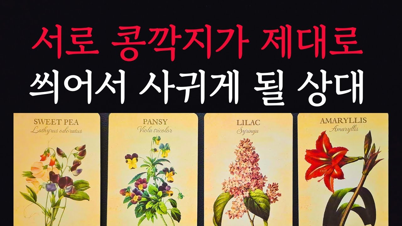 [타로/연애운]🔥서로 콩깍지가 씌어 사귀게 되는 특별한 내 남친 여친 연인💗상대방 외모 성격 특징 연애성향 속마음 만나는 장소 계기🌹썸 짝사랑 재회 솔로 고백 연락 타로💖