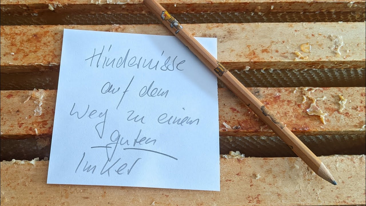 Hindernisse auf dem Weg zum guten Imker.