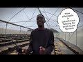 Greenhouse Farming in Nigeria: Challenges, Opportunities &amp; How to Start | Q&amp;A with Daniel