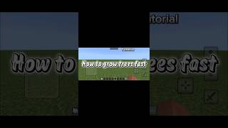 How to Grow trees fast #minecraft #fypシ #fyp #tutorial #gaming #edit #minecraftshorts @MrBeast