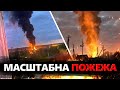 ПОЖЕЖУ на нафтобазі РФ бачили за кілометри! Істерична реакція РОСІЯН, сидять без СВІТЛА та ВОДИ