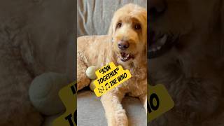 Tune Time With Winnie