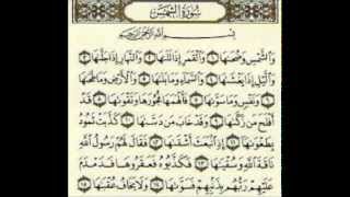 تلاوة رائعة من مدينة بنغازي للقارئ محمد القويري screenshot 3