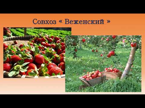 Моя малая Родина
