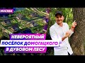 Посёлок Домогацкого в Москве.