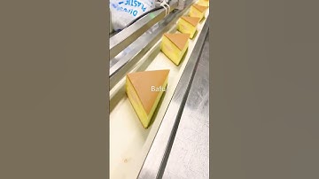 bread packaging machine, cake packaging machine, biscuit packaging machine, flow wrapper, flow-pack