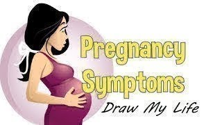 Draw My Life   What Happens To A Woman's Body During Pregnancy
