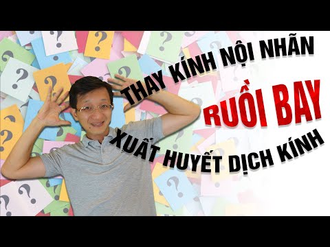 Dịch Kính Là Gì - GIẢI ĐÁP thắc mắc: Thay kính nội nhãn, Ruồi bay và Xuất huyết dịch kính