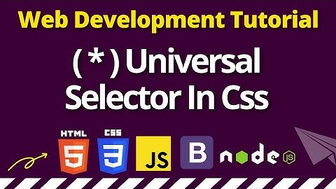 Universal selector in CSS in Hindi | Selectors In CSS | CSS Tutorial