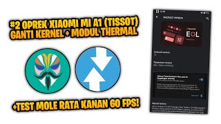 Xiaomi Mi A1 (Snapdragon 625) in 2026! Is it still worth playing Mobile Legends? - Tutorial Oprek screenshot 2