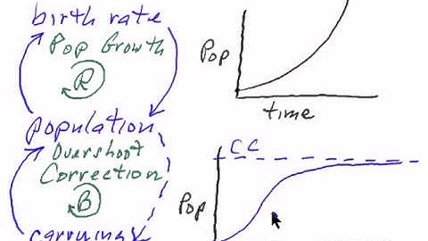 DL3. The Basic Concept of Feedback Loops, with Population Growth