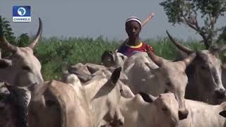 Lands and People of Nigeria; Main Geographical Features