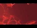Programa Red Zone #185 - 12/06/2025 - Ano IV