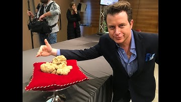 THE JOY OF TRUFFLES (Official Music Video) - World