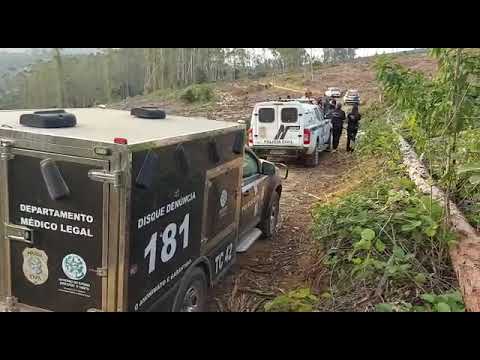 Homem morre após ser atingido por árvore de eucalipto no interior de Rio Bananal