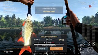 Fishing Planet - Unique Common Rudd - Akhtuba River