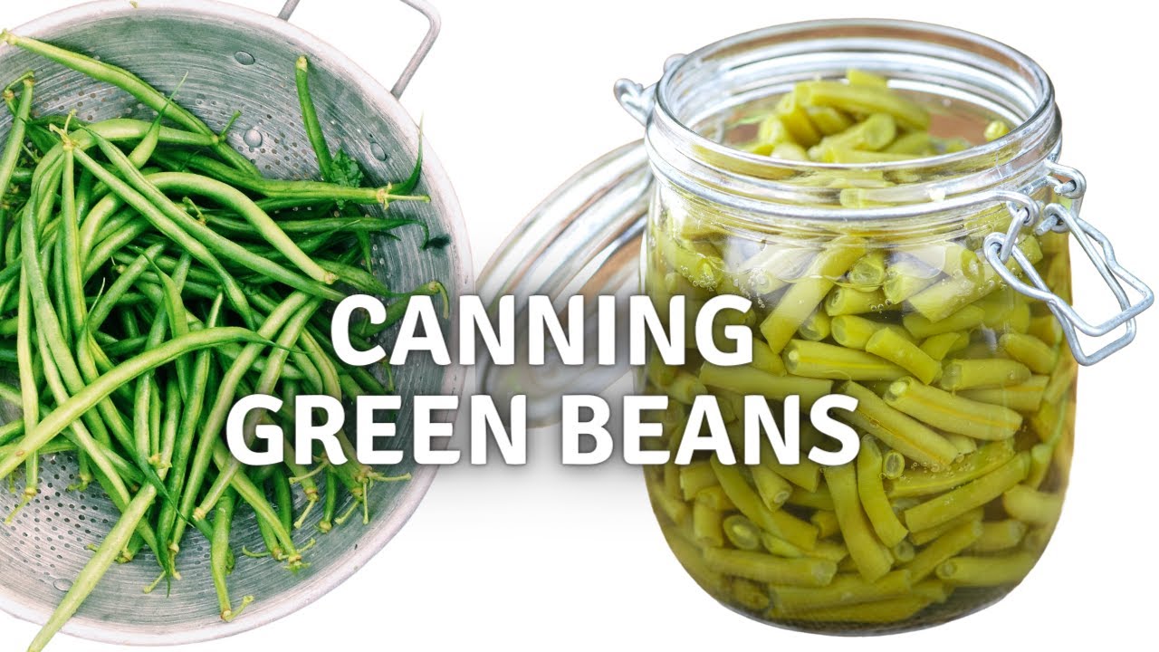 How to Can Frozen Green Beans YouTube