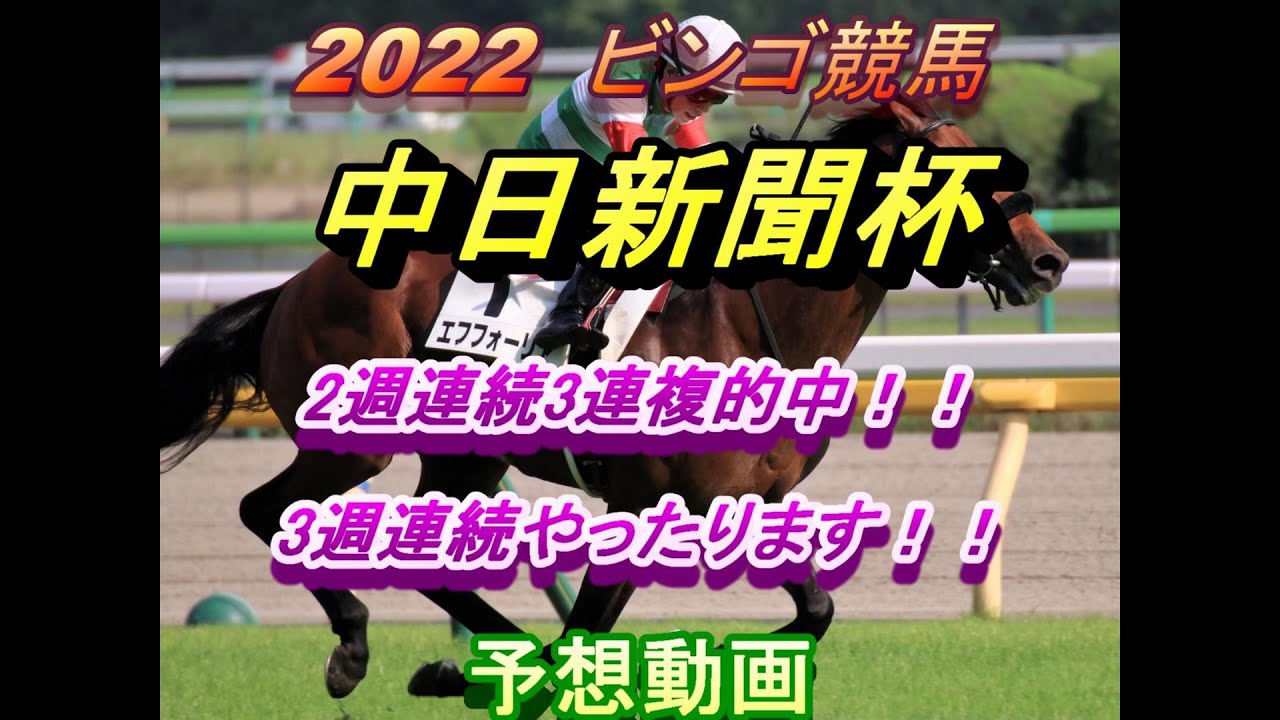 22 中日新聞杯 競馬予想 22 12 09 2週連続3連複的中 3週連続やったります Youtube