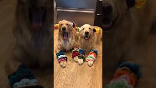 Can We P As Vsco Bois?