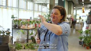 Cameleon Van Nachtmerrie Naar Gigantische Tijdswinst In Hr-Administratie