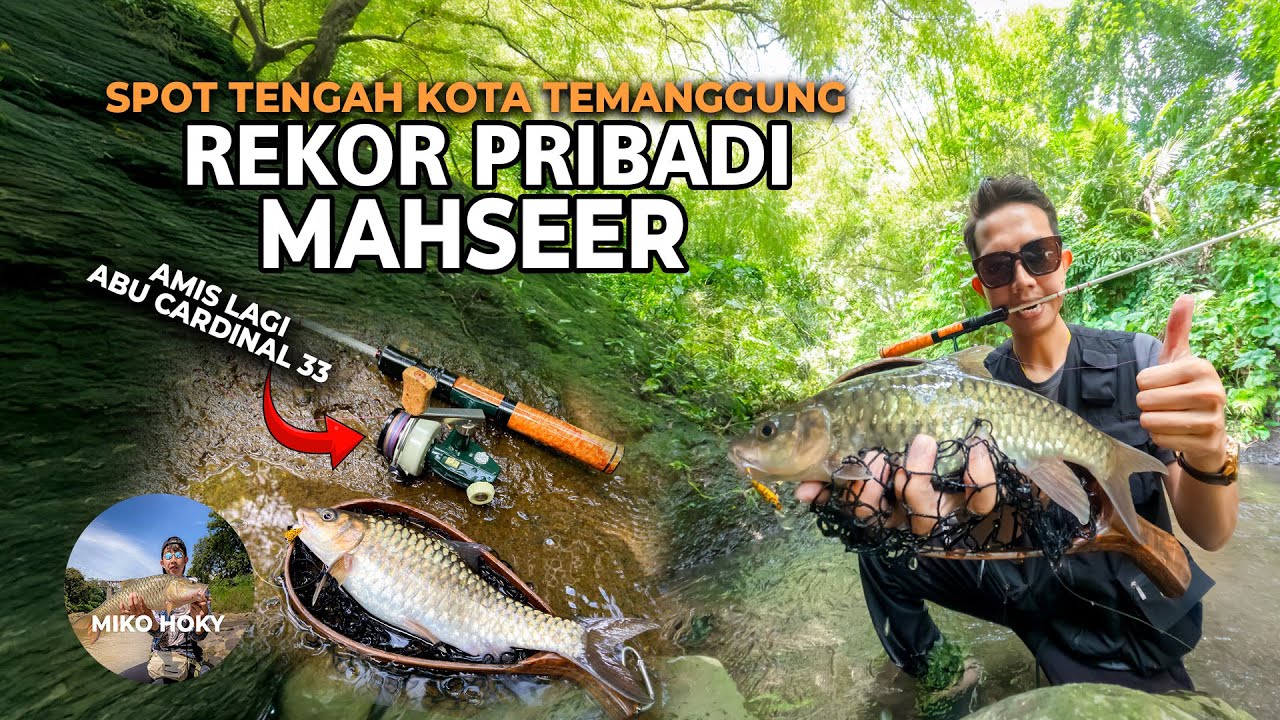 Mahseer Babon Challenge That Got Fajar Arief Hooked on Reel Abu Cardinal 33