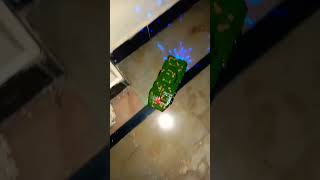 New 2In1 Car Com Robotcrazy Cherry