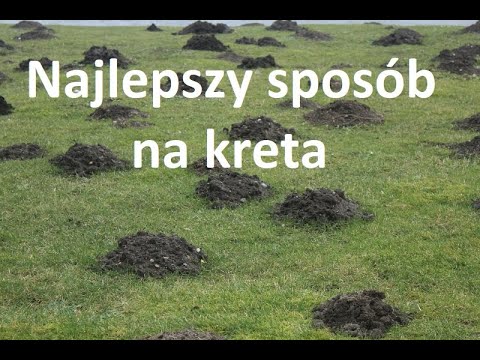 Najlepszy sposób na