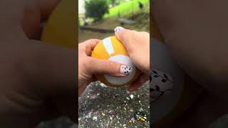Opening 2 My Mini Pets