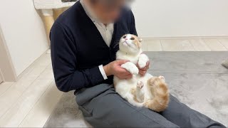 生まれて初めて父と猫が対面したらまさかのこうなってました…笑