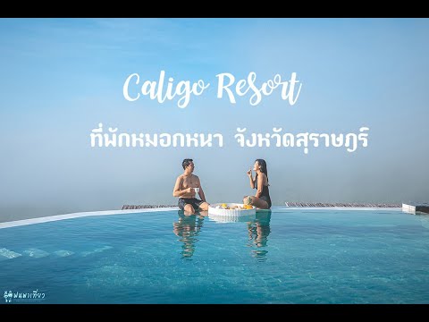 หมอกหนา สุดฟิน Caligo Resort ที่พักสุราษฎร์ธานี //แฟนพาเที่ยว