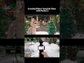 This feels like a Christmas movie scene｜Pocket 3