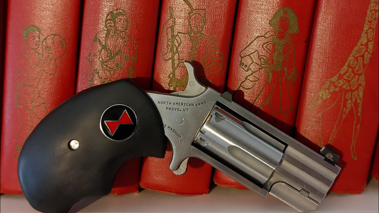 NAA PUG MINI REVOLVER GRIP REVIEW YouTube